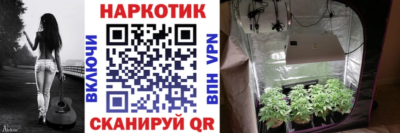 Марихуана Химки