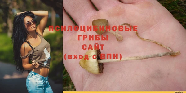 крисы Нефтекумск