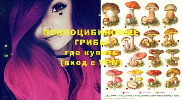 крисы Нефтекумск
