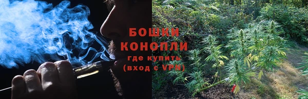 крисы Нефтекумск