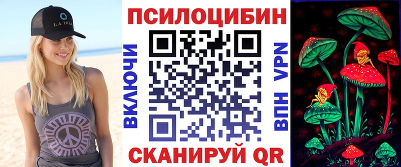 Купить где  Химки  Галлюциногенные грибы Psilocybine cubensis 